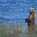 15 juin 2012 à Paris , Alaska de pere en Fils