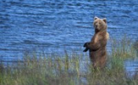 15 juin 2012 &agrave; Paris , Alaska de pere en Fils
