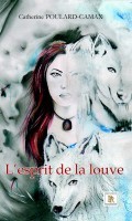 Novembre 2016, parution du roman
