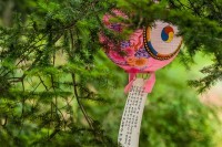 Du 2 au 11 mai 2015, voyage en Cor&eacute;e du Sud avec David Ducoin et Allibert