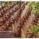 Octobre 2011double page dans Geo magazine