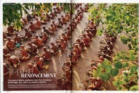 Octobre 2011double page dans Geo magazine